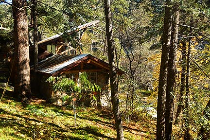 Forest Houses, November 2015